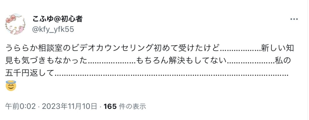 うららか相談室のビデオカウンセリング初めて受けたけど………………新しい知見も気づきもなかった…………………もちろん解決もしてない…………………私の五千円返して…………………………………………………………………………………………