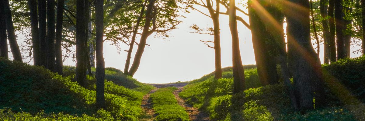 嫌いになった相手とこれからどうするか前を向く道